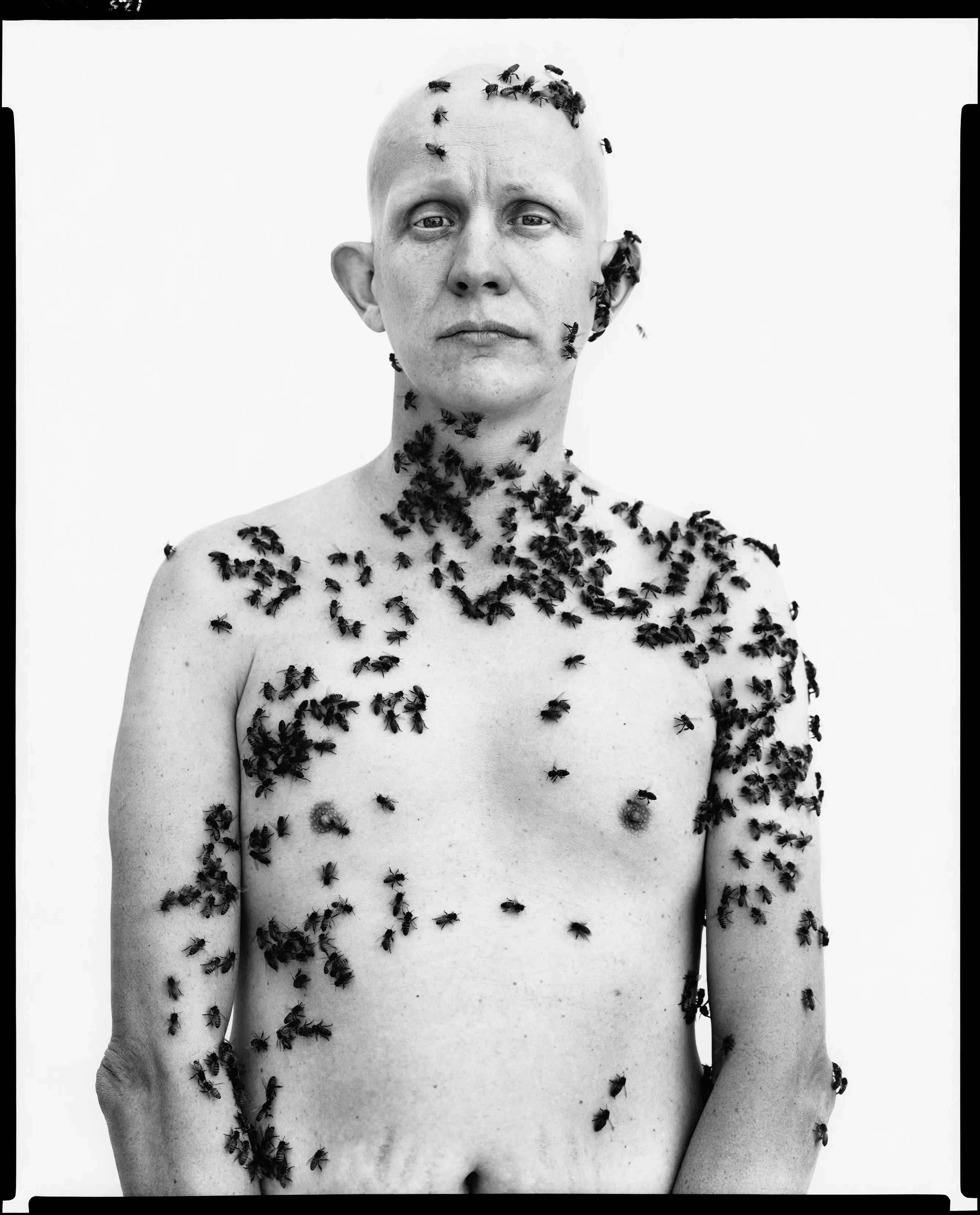 Looking Back　Robert Adams　Richard Avedon Avedon' by Ron Howard | Premiering at the 79th Cannes Film Festival
